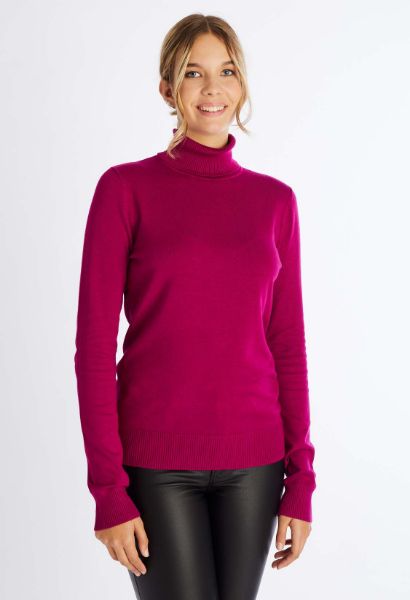 Agrandir l'image de Pull à col roulé en maille fine Image de Pull à col roulé en maille fine
