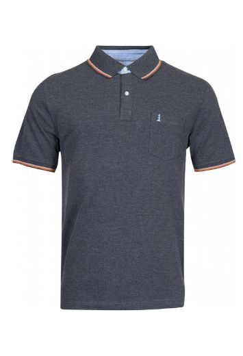 Image de Polo t-shirt avec rayures contrastées sur le col