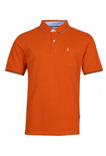 Image de Polo t-shirt avec rayures contrastées sur le col