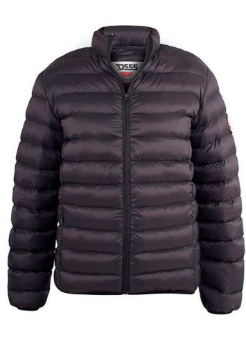 Picture of Puffer jacket Paxton D555, black