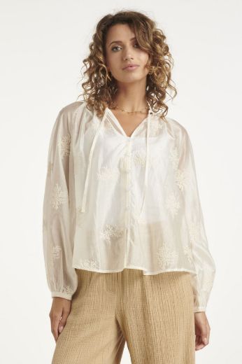 Picture of Tall Women Sheer Blouse Embroideries