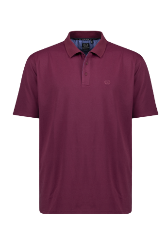 Bild von Tall Peer Funktions Poloshirt - bis Grösse 5XLT