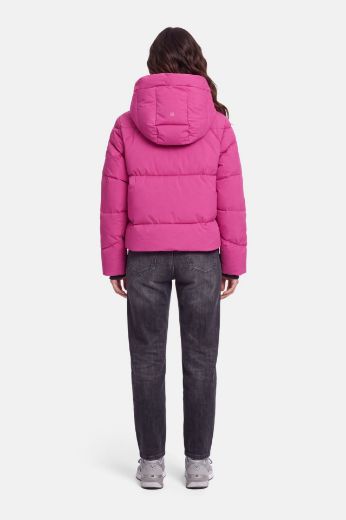 Picture of Tall Women Jacket Hood
