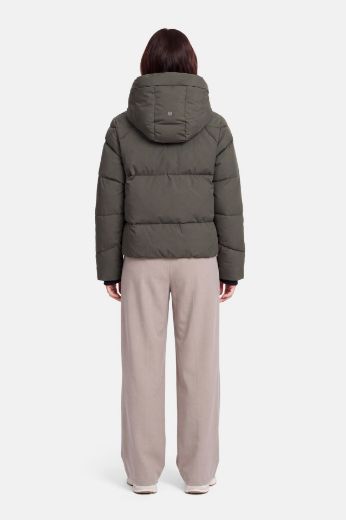 Picture of Tall Women Jacket Hood